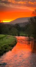 Morning Glory . © Ste Adair