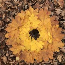 Photo taken during a PEN session I was delivering at Clarion House. Many of the group were inspired by the work of Andy Goldsworthy. I saw these wonderful Maple leaves and created this. © Keith Parkinson