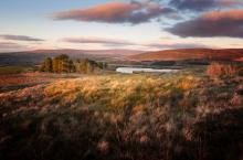 Golden hour on Nicky Nook © Mike Coleran