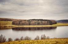 Reflections  © Zoe Hodkinson