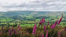 View from Jeffrey Hill © Tony Openshaw