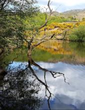 Water © Linda Longton 