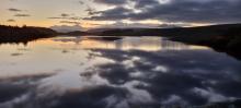 Stocks res at dusk © Janice Mccall 