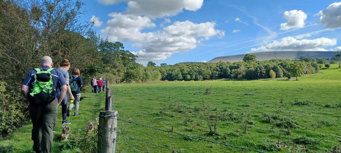 Foraging walk