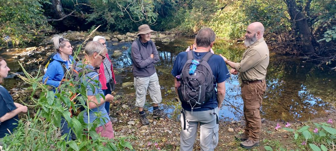 Foraging Walk