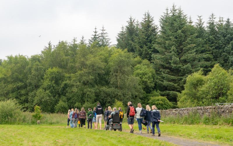 Forest Bathing - credit Tom Pooley