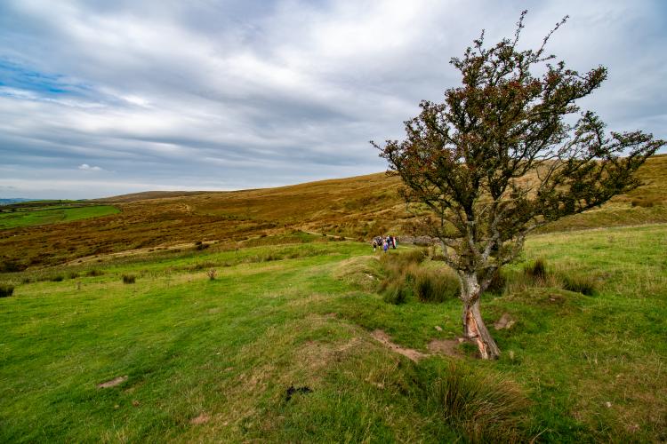 Sabden Chartist's Walk