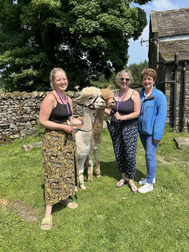 Alpaca experience - image credit Hetty Byrne