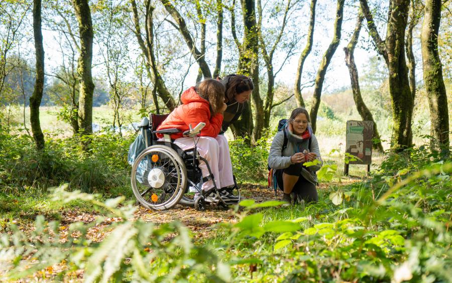 Access for all event, Gisburn Forest
