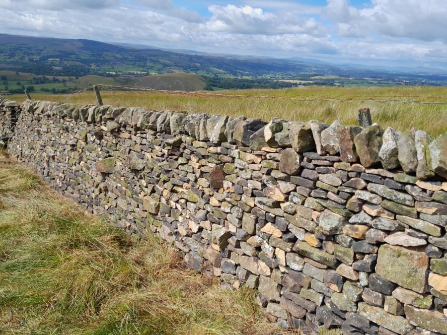 Dry stone wall