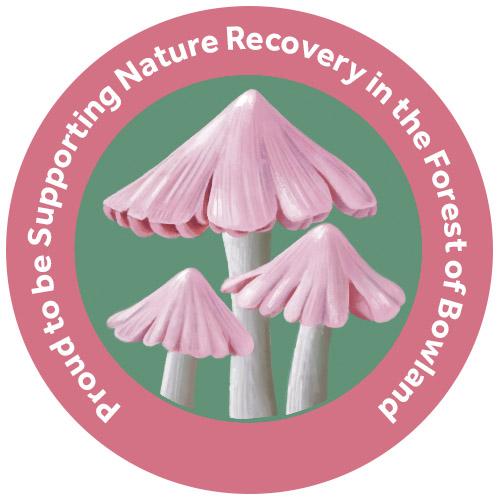 champion species badge of ballerina waxcap