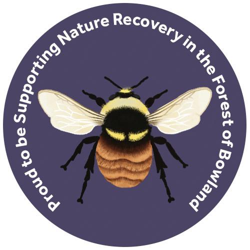 champion species badge of a bilberry bumblebee
