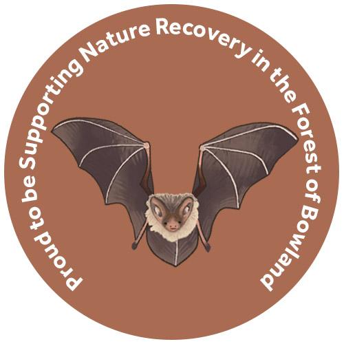 champion species badge of a brown bat