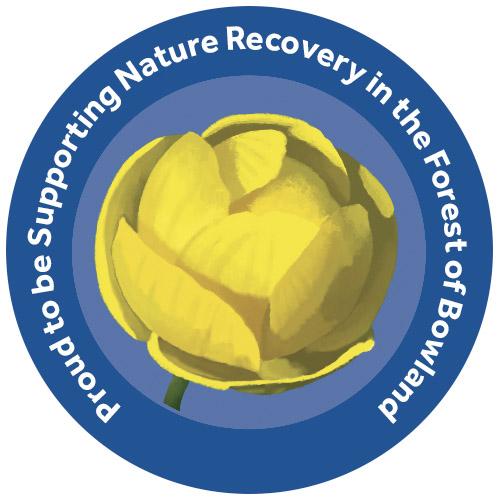 champion species badge of a globe flower