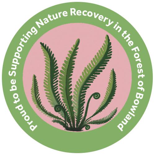 champion species badge of a hard fern
