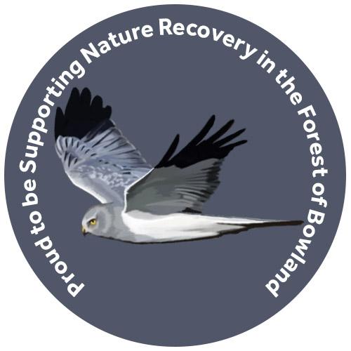 champion species badge of a hen harrier