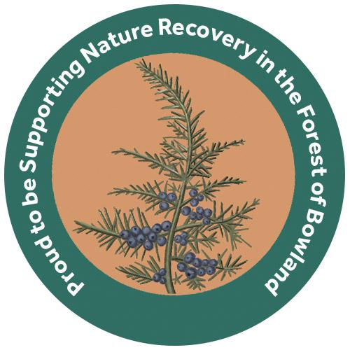 champion species badge of juniper