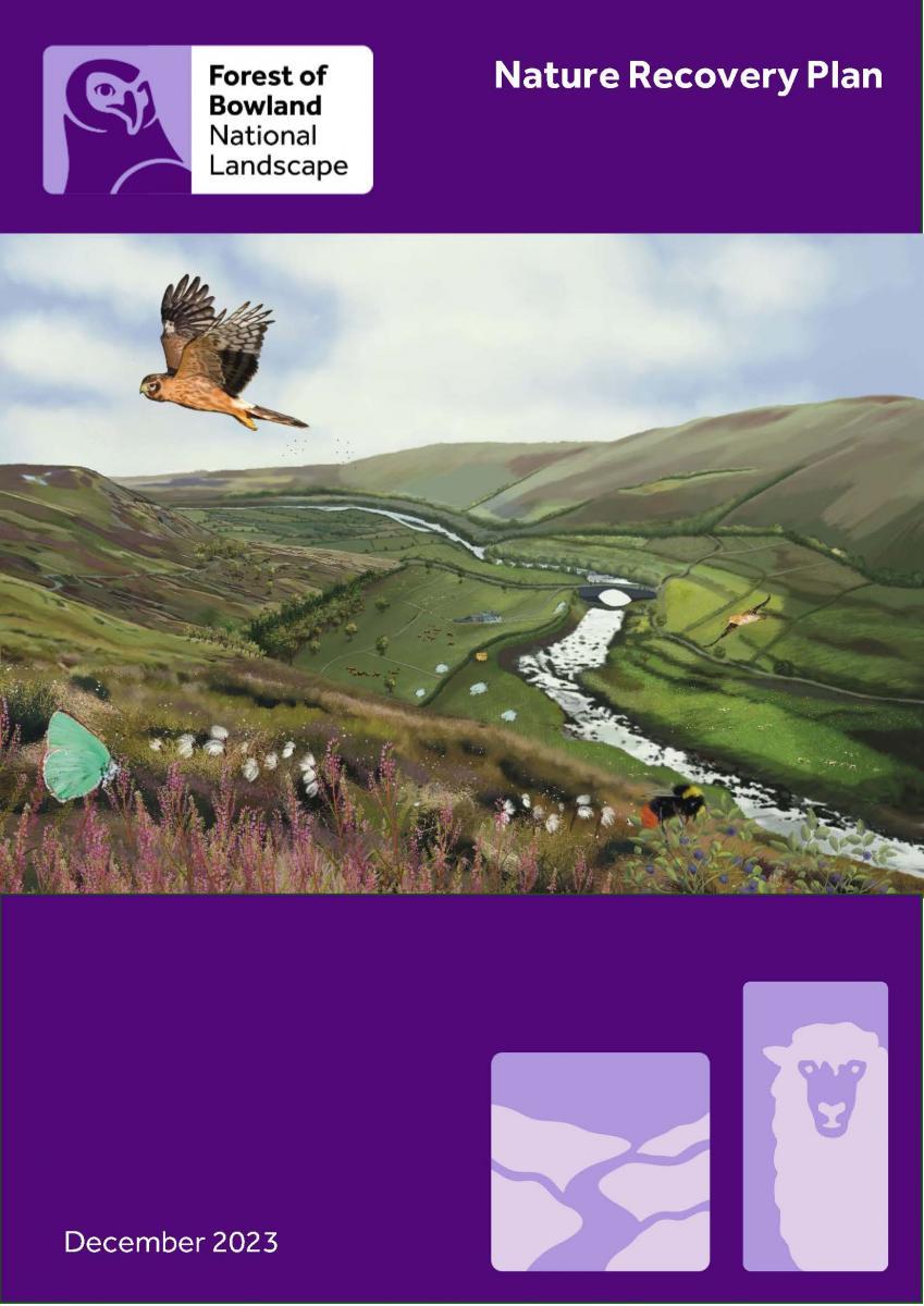 Nature Recovery Plan cover