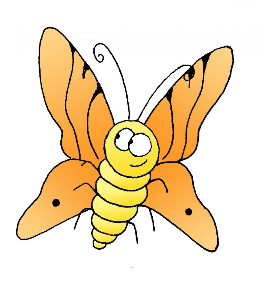 Butterfly graphic