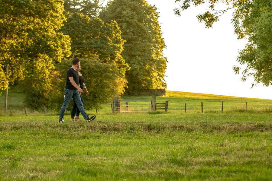 Walkers in a field