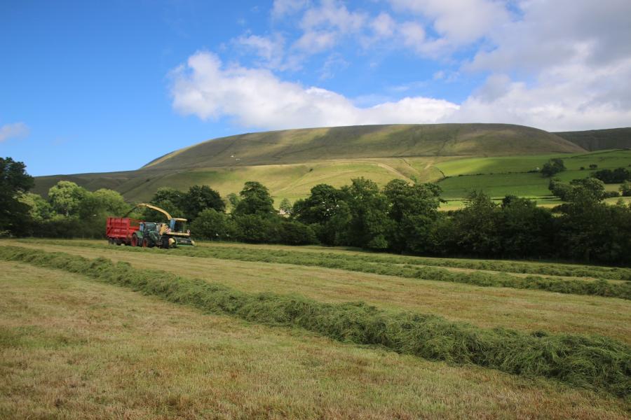 Silaging at a farm in Worston
