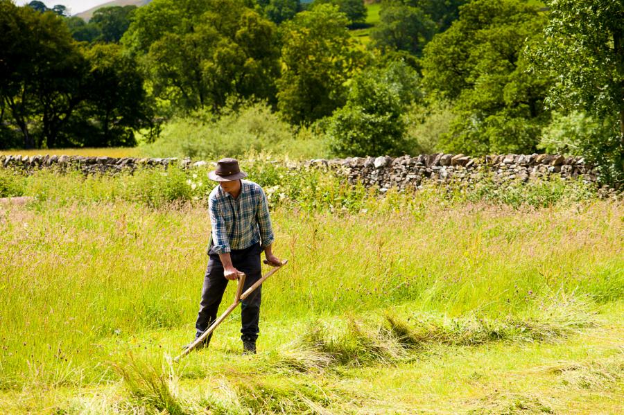 Scything Bell Sykes Farm