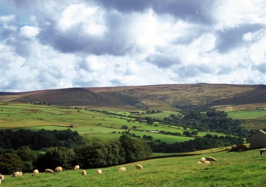Bowland landscape showing wooded valleys