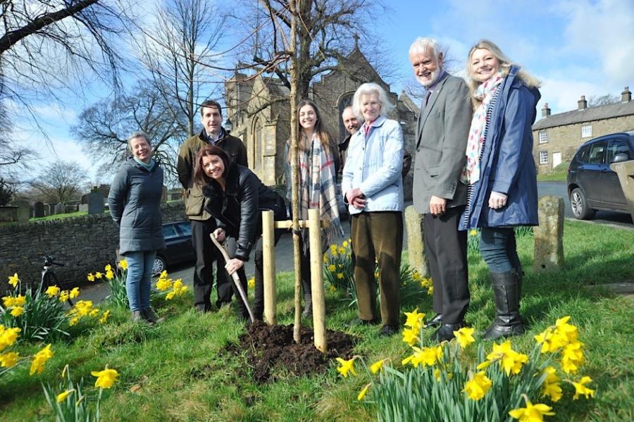 group of people planting a tree