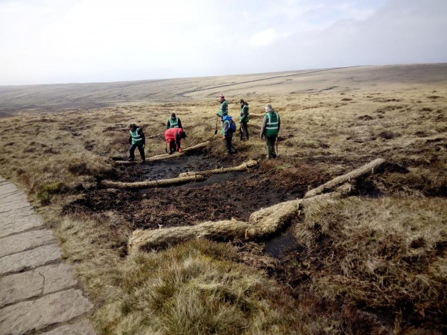 Coir logs being laid on peatland