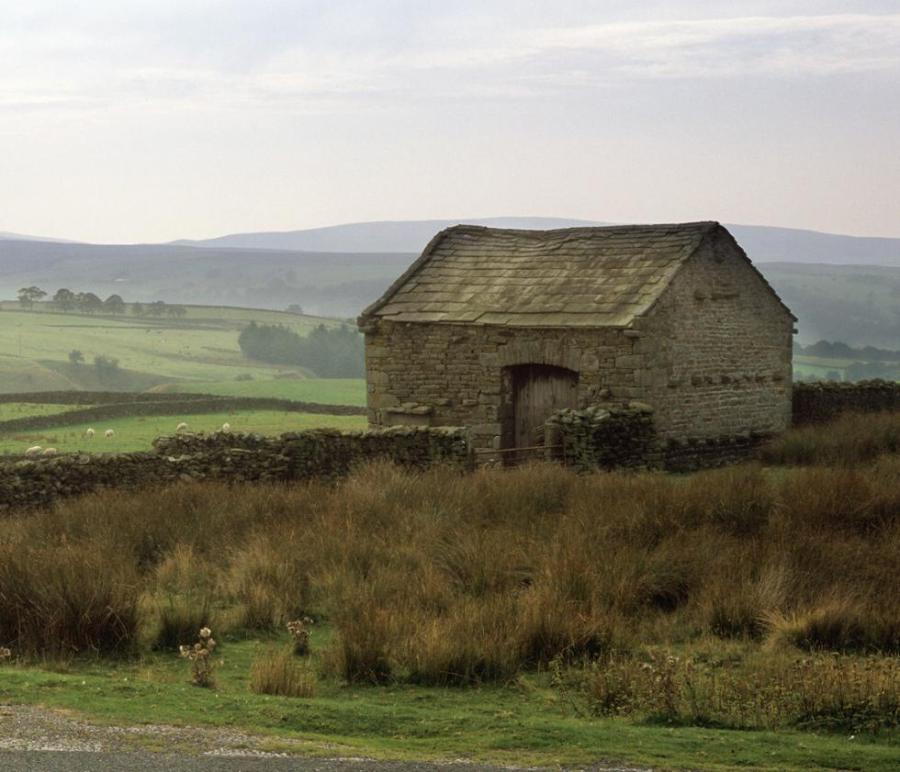 Field barn in landscape