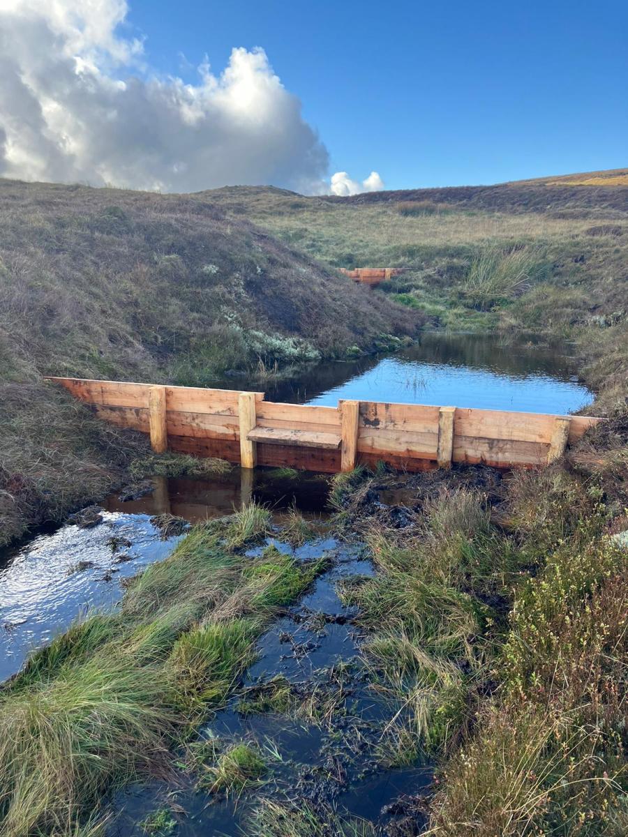 Peatland restoration bunds