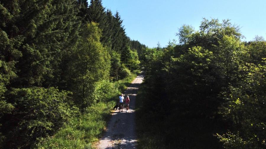 People walking in Gisburn Forest