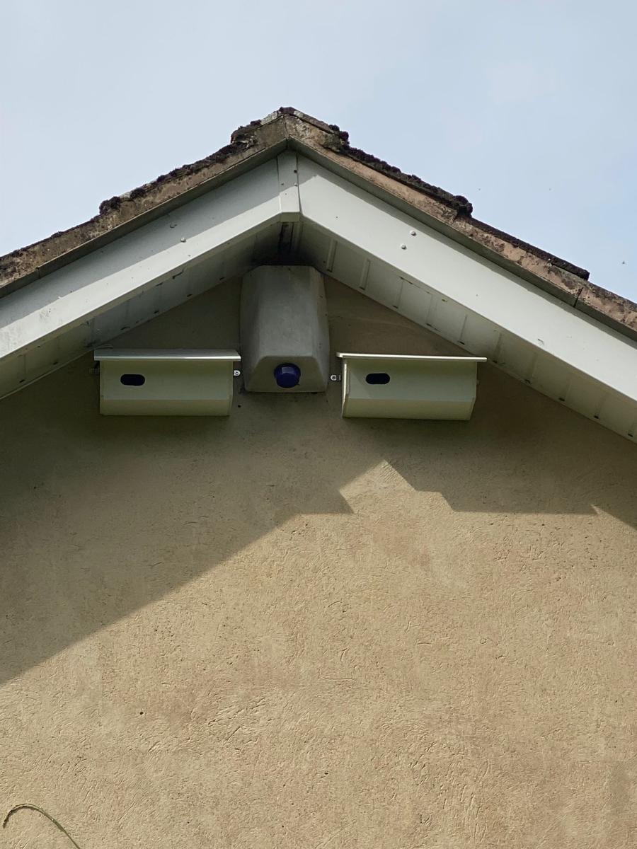 Swift boxes on side of building