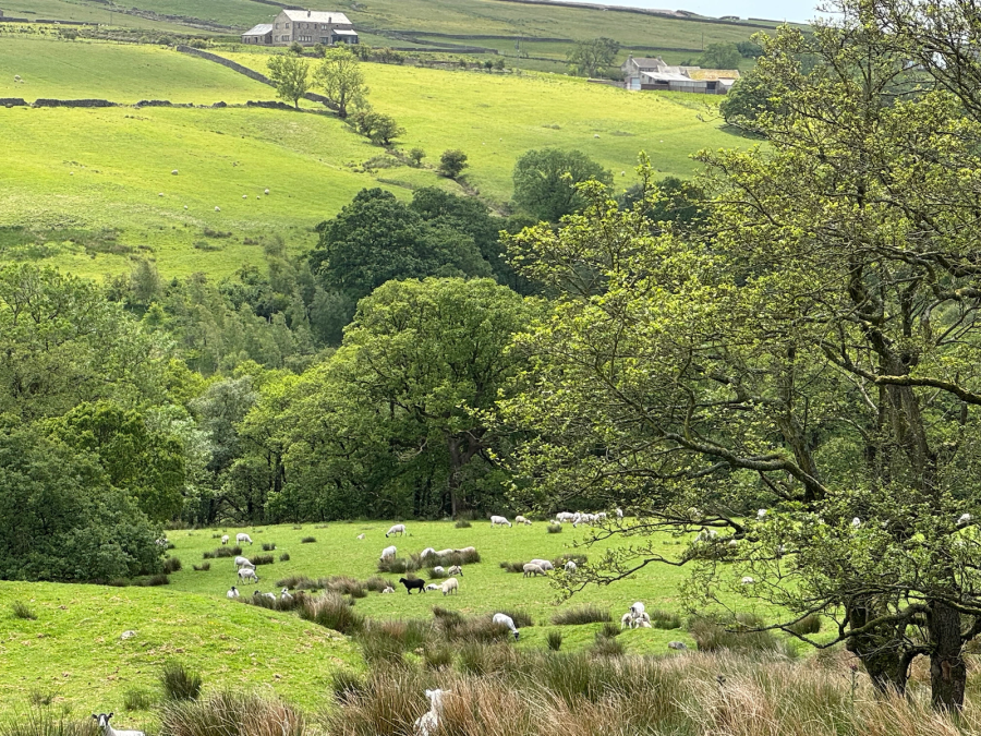 Keasden Head Farm