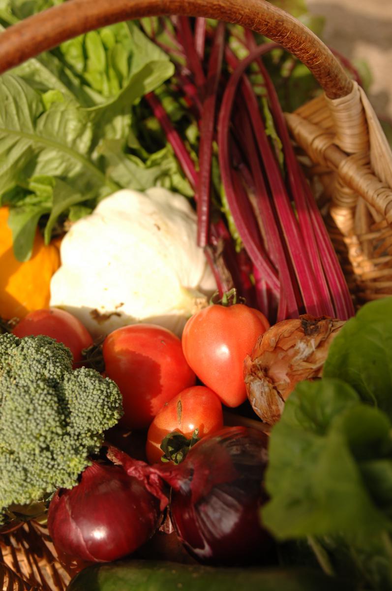 Basket vegetables