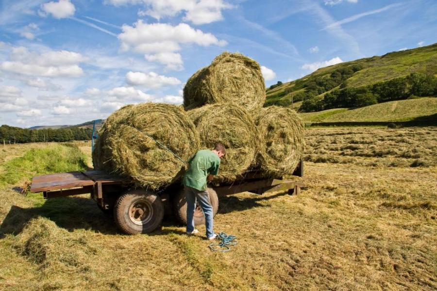 Bales on a trailer