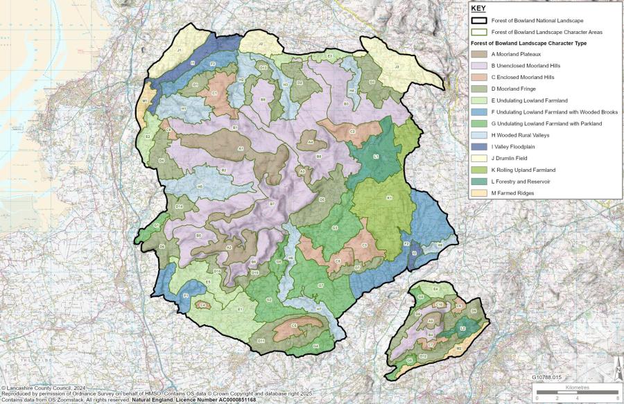 LCA types and areas