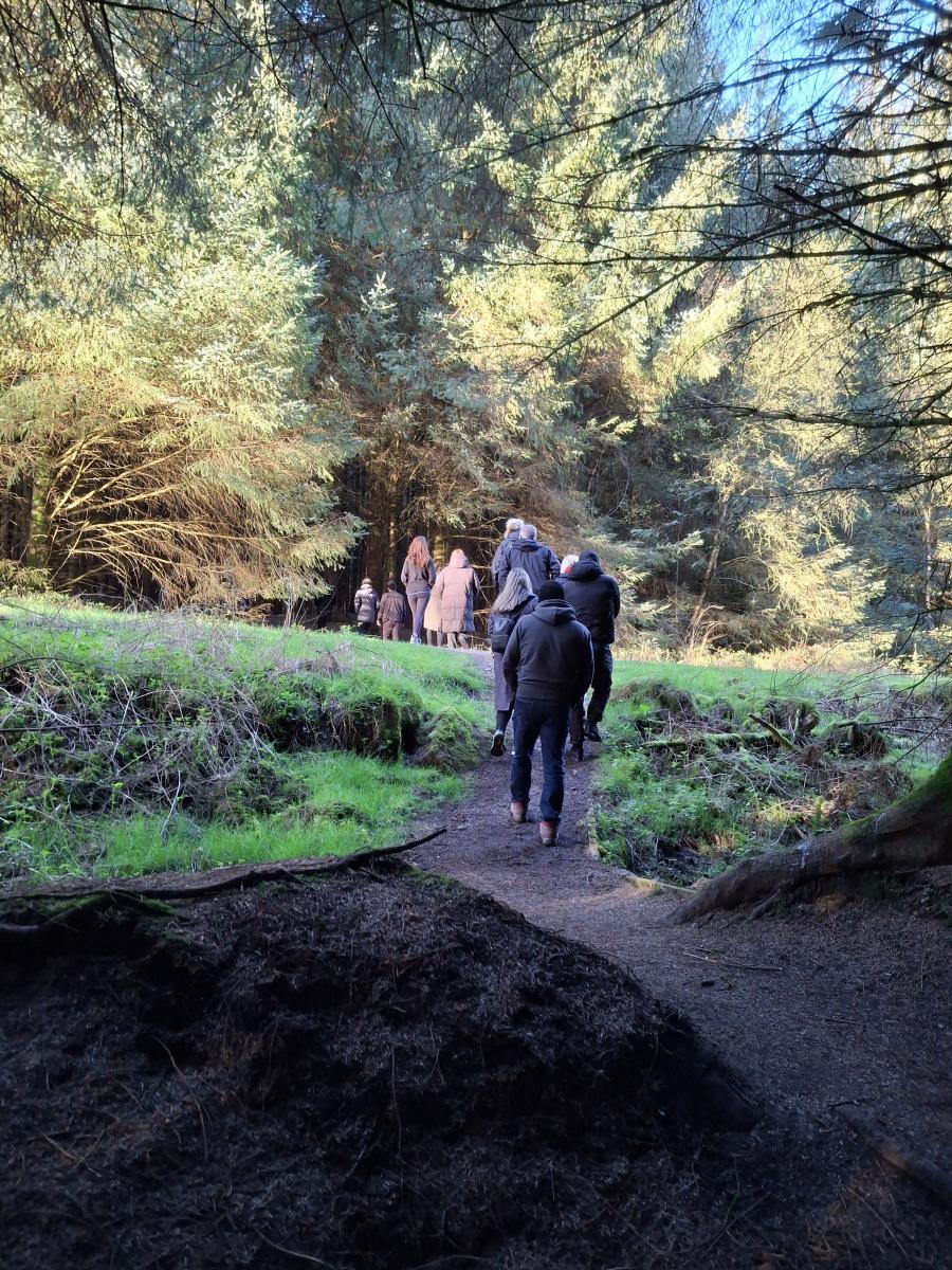 Forest bathing in Gisburn Forest
