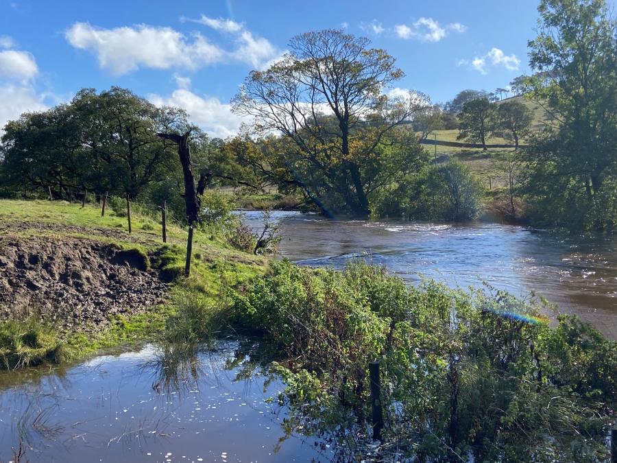 River Ribble 