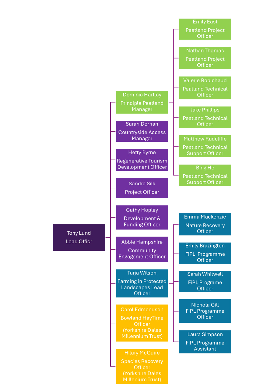 Team Structure