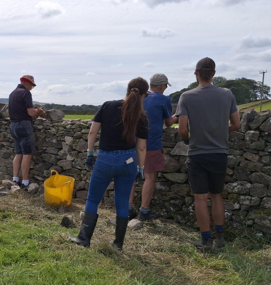 dry stone walling in Sladidburn