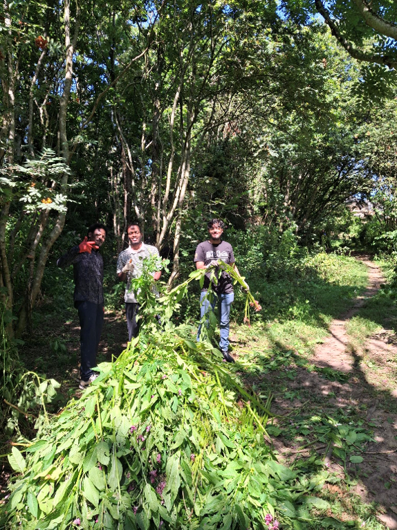 connecting people and nature group balsam pulling