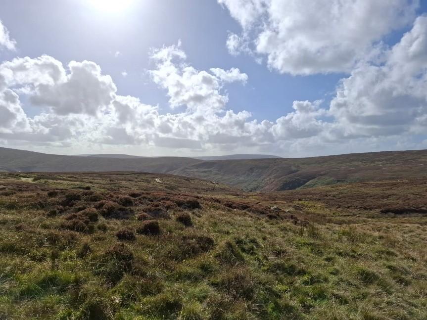 Bowland fells