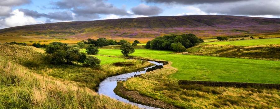 Bowland Fells by Steven Kidd