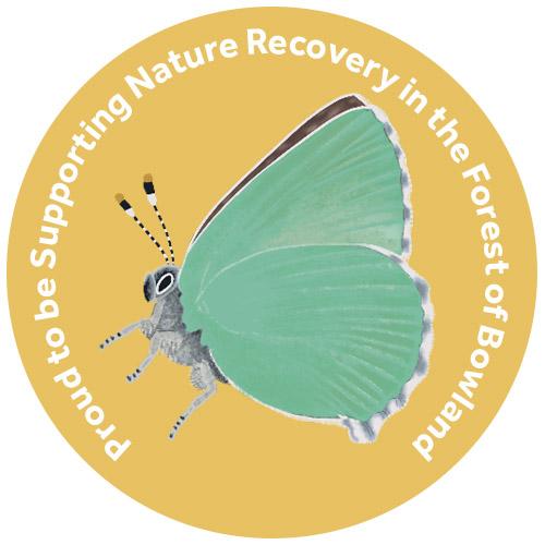 Green Hairstreak supporter badge