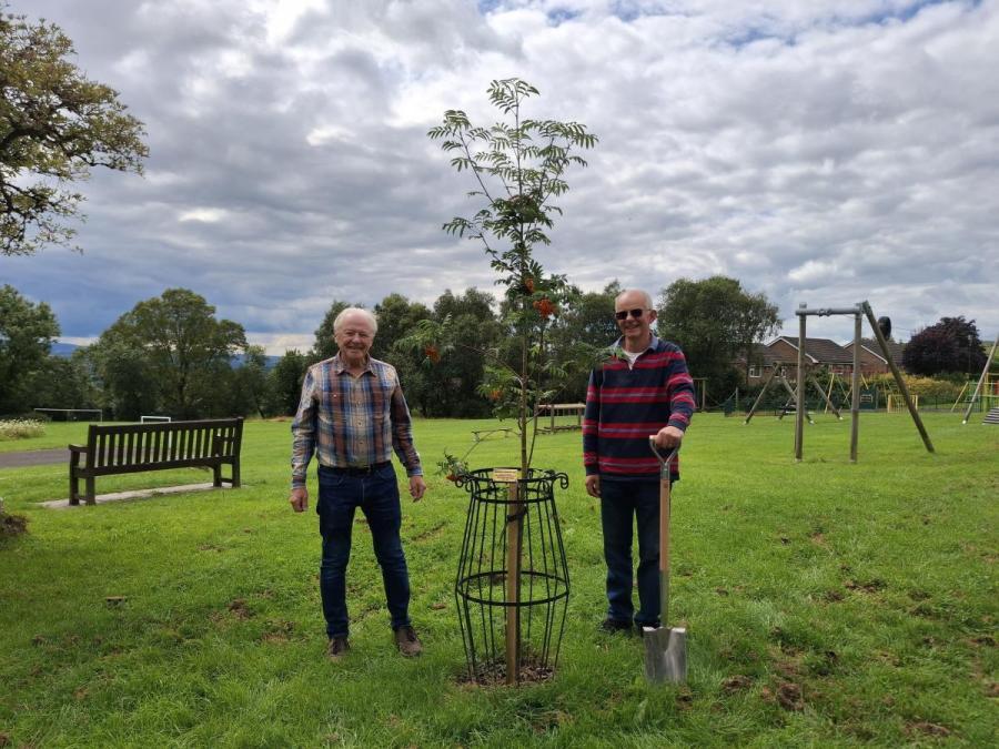 Higham with West Close Parish Council_Landmark Tree