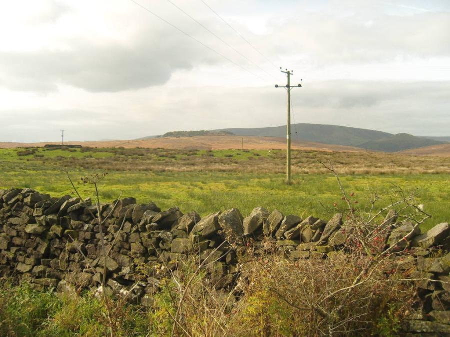 Image_2.JPG