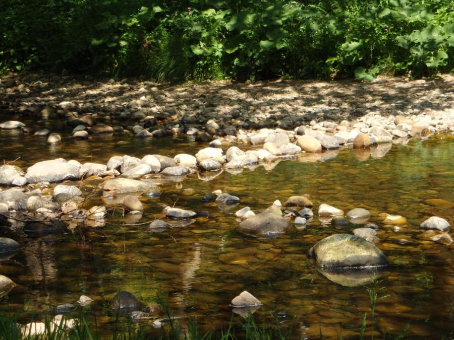River Brock