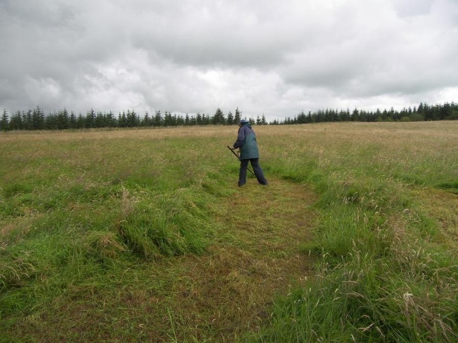 Scything_28_July_2012_004.jpg
