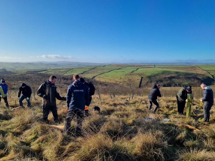 Volunteers tree planting - image credit YDMT